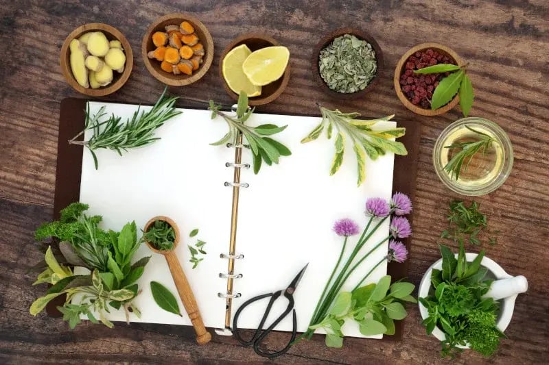 Flat lay of fresh spices and herbal medicines scattered around open white notebook on rustic wood table. These herbs and spices may help in reducing histamine and mast cell activation, which are linked to migraine symptoms.