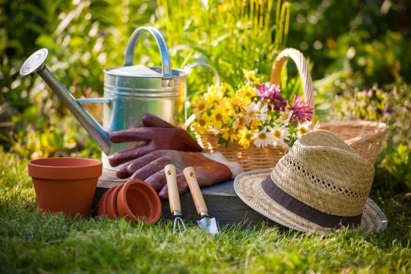 Gardening supplies out in a garden, many environmental health toxins can be improved through functional medicine.