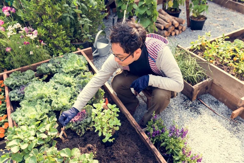 Man with diabetes in a garden happy to use functional medicine to help his diabetes.